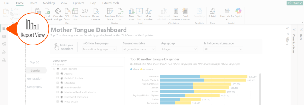 Highlighting report view in Power BI Desktop application